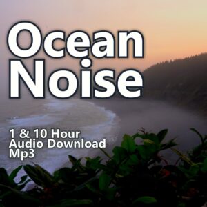 Ocean Noise