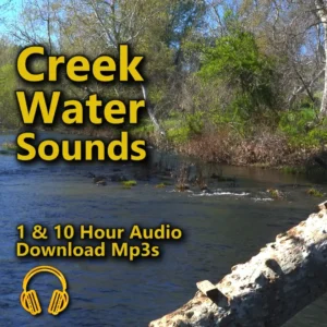 Creak Noise Ambient Listening